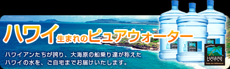 �ϥ磻����������