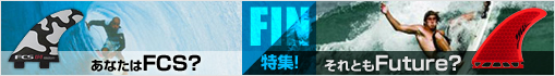 FIN�ý�