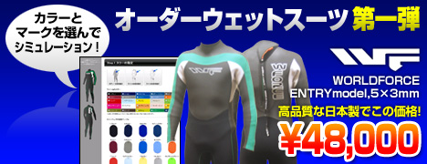 �������������åȥ����� WORLDFORCE ENTRY